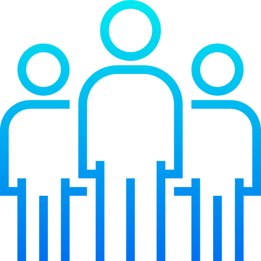 Professionals in the team